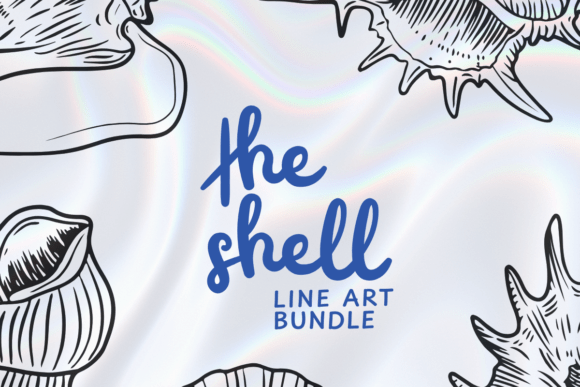 Download Seashell Clip Art Bundle - Premium Resources