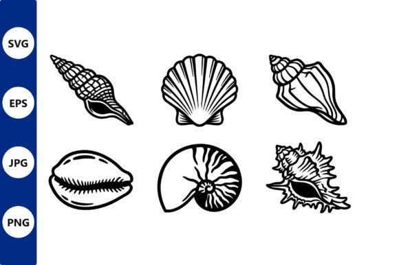 Download Seashell Line Art Vector Set - Premium Resources
