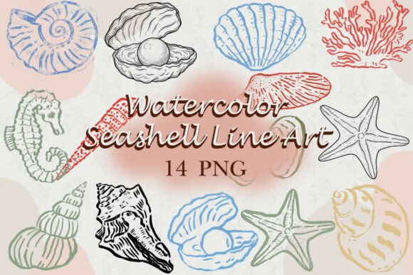 Download Watercolor Seashell Line Art PNG - Premium Bundle