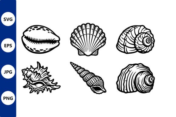 Download Seashells Line Art in Vector Style - Premium Resources